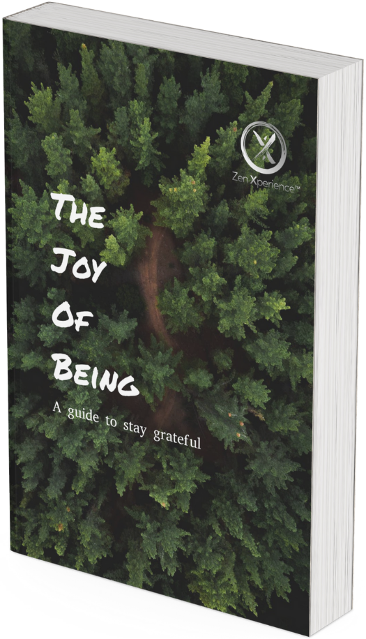 Zen Xperience: The Joy of Being (Book)